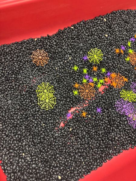 Sensory Table, Spiders theme