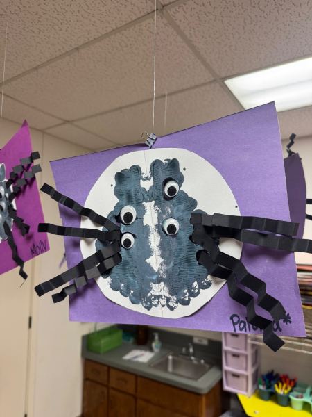 Art Projects, Spiders theme